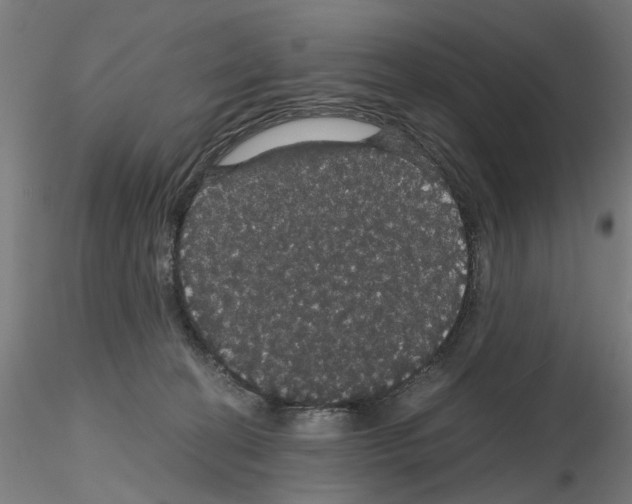 X0000116120274201001040956
