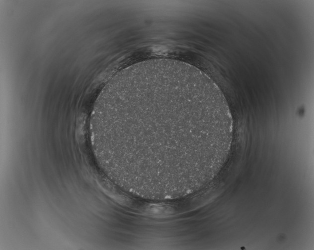 X0000116120275201001040956