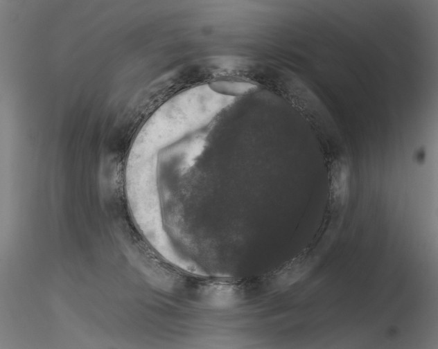X0000116120276201001040956