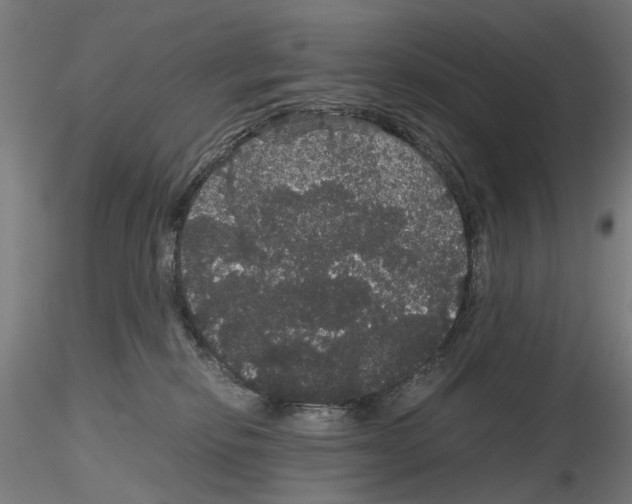 X0000116120278201001040957