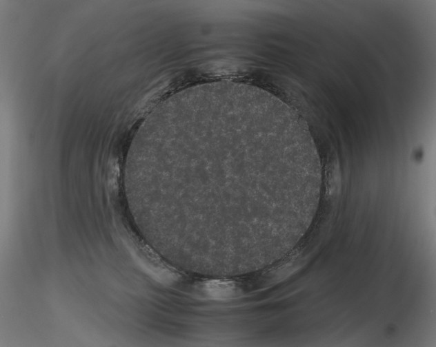 X0000116120279201001040957