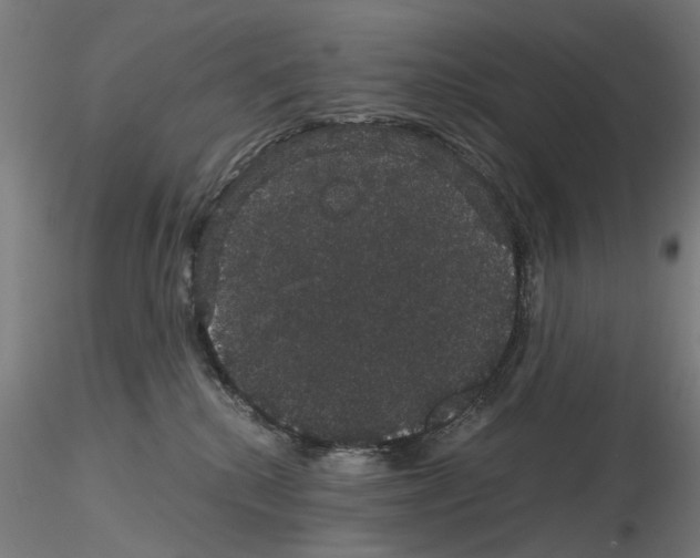X0000116120280201001040957