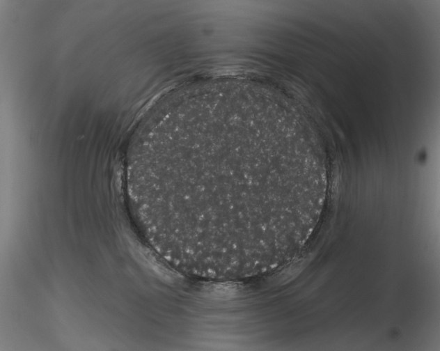X0000116120282201001040957