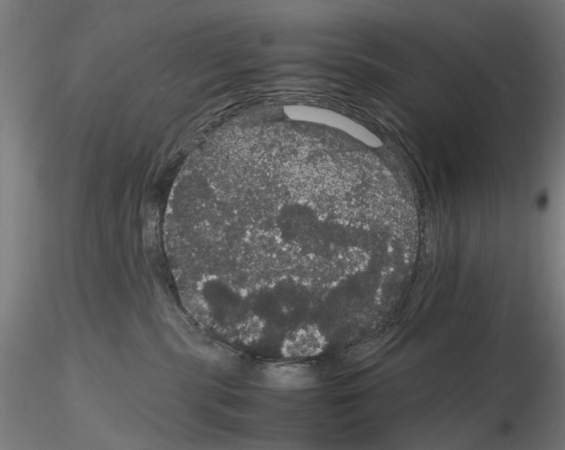 X0000116120283201001040957