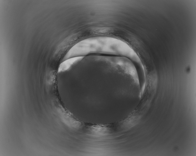 X0000116120284201001040957
