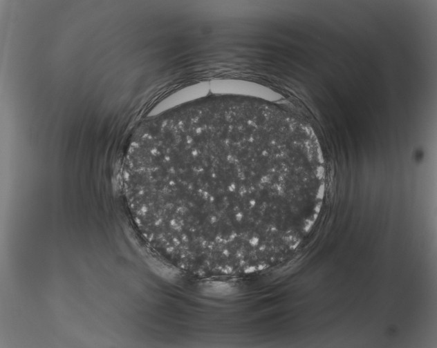 X0000116120285201001040957