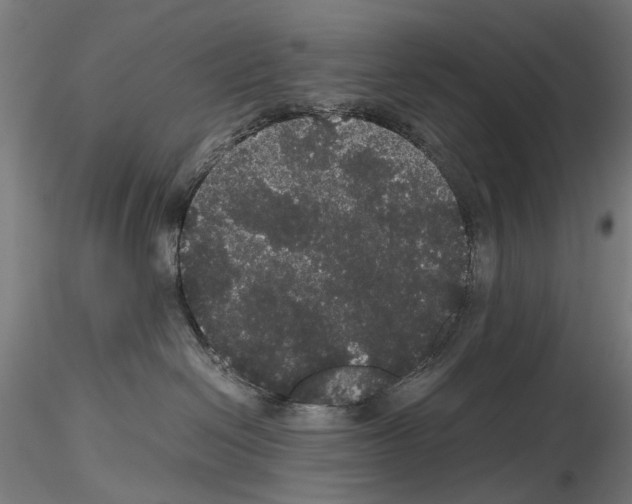 X0000116120286201001040957