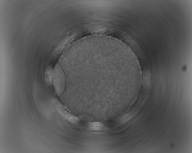 X0000116120287201001040957