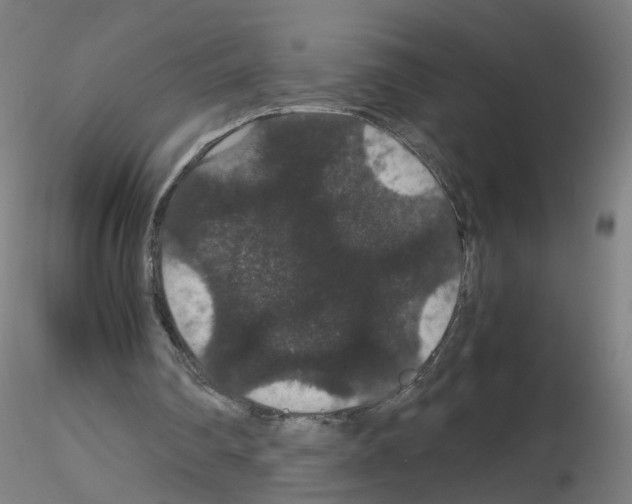 X0000116120290201001040956