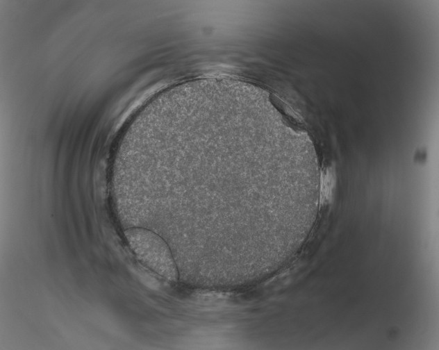 X0000116120291201001040956