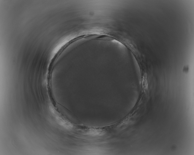 X0000116120292201001040956