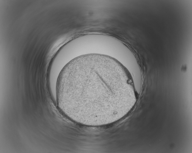 X0000116120293201001040956