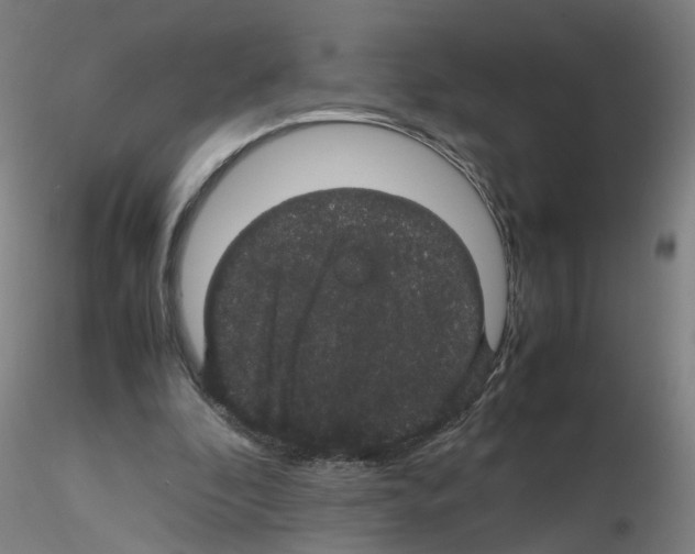 X0000116120296201001040956