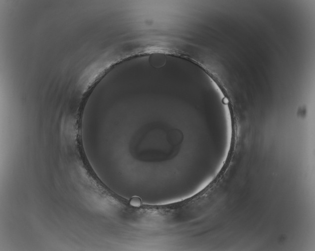 X0000116120297201001040956