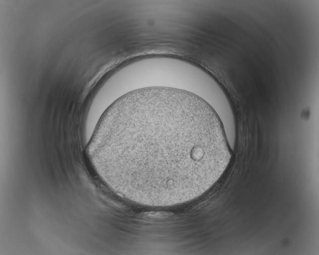 X0000116120300201001040956