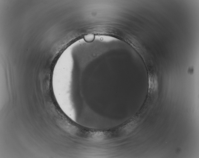 X0000116120301201001040956
