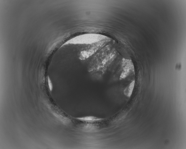 X0000116120303201001040956
