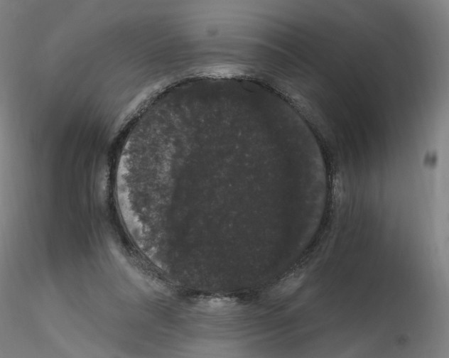 X0000116120304201001040956