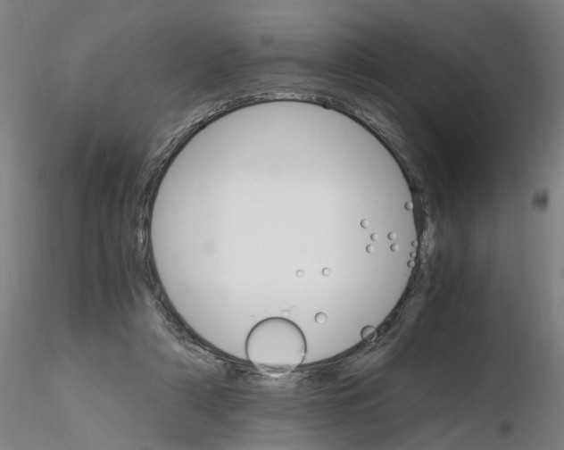 X0000116120306201001040956