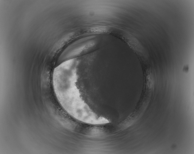 X0000116120308201001040956