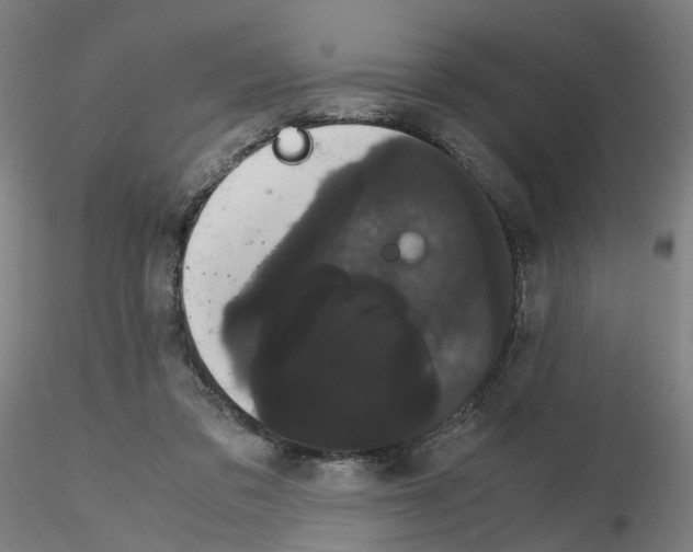 X0000116120309201001040956