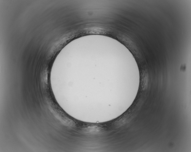 X0000116120310201001040956