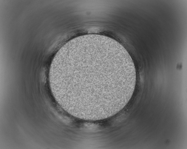X0000116120311201001040956
