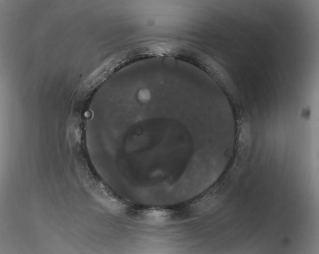 X0000116120313201001040956
