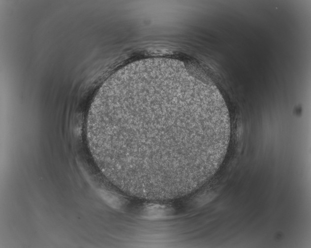 X0000116120315201001040956