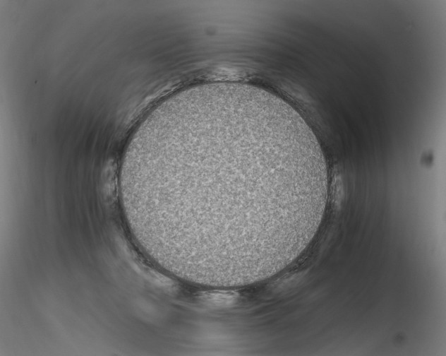 X0000116120318201001040956