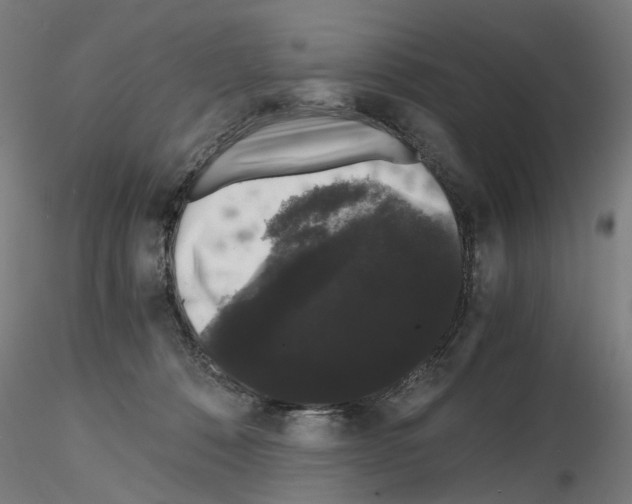 X0000116120320201001040956