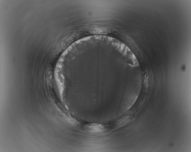 X0000116120322201001040956