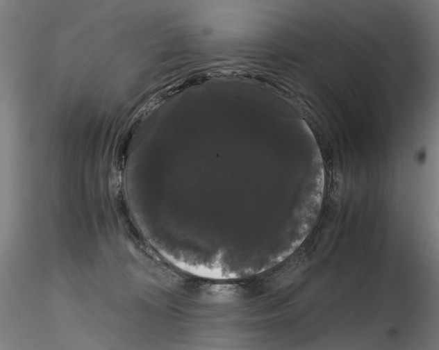 X0000116120324201001040956