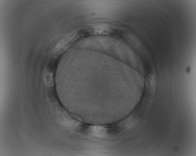 X0000116120327201001040955
