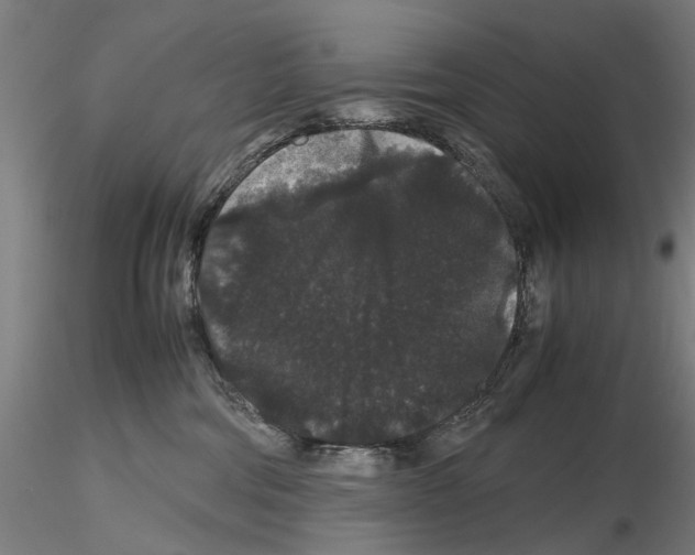 X0000116120330201001040955