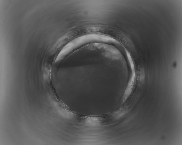 X0000116120332201001040955