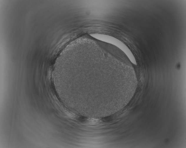 X0000116120333201001040955