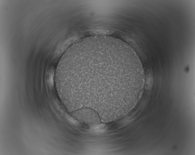 X0000116120334201001040955