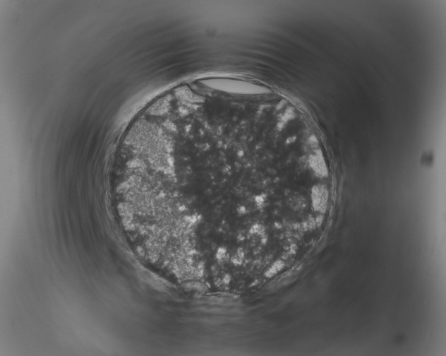 X0000116120337201001040955