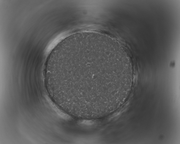 X0000116120341201001040955