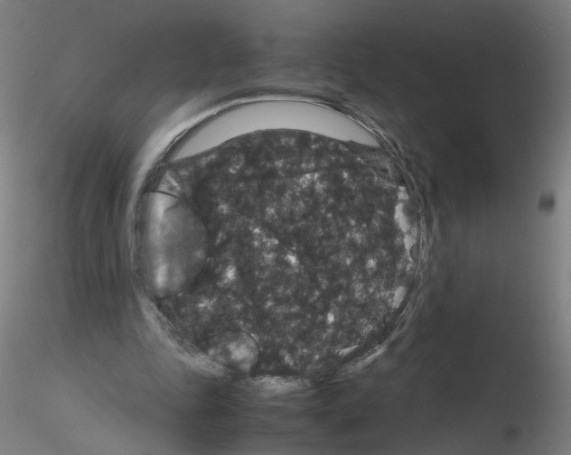 X0000116120343201001040955