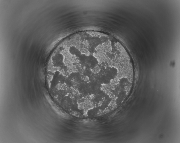 X0000116120345201001040955