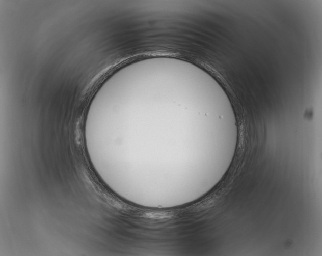 X0000116120351201001040955