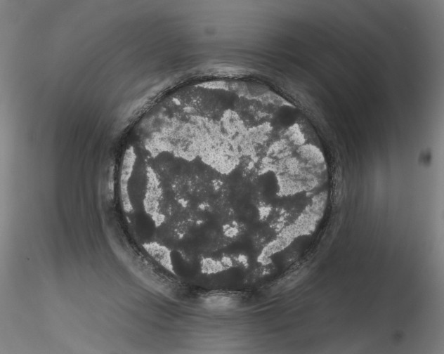 X0000116120358201001040955