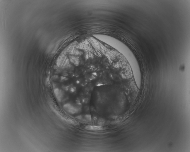 X0000116120361201001040955