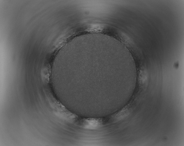 X0000116120370201001040955
