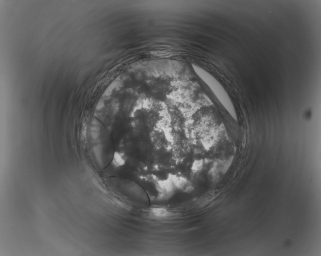 X0000116120371201001040955