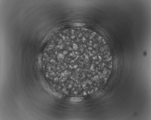 X0000116120373201001040955