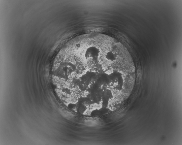 X0000116120377201001040955