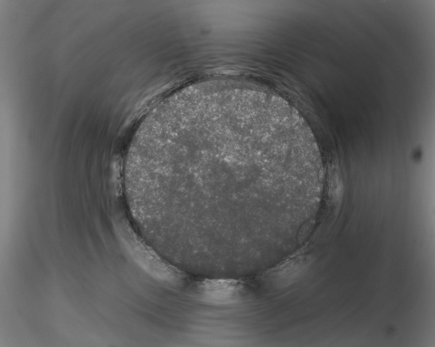X0000116120378201001040955